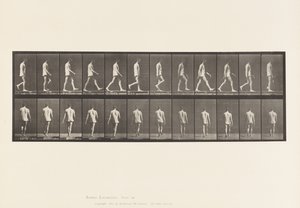 Plate 560.Locomotor Ataxia; Gående, 1885 av Eadweard Muybridge