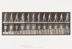 Plate 562. Lateral Curvature of Spine; Går av Eadweard Muybridge