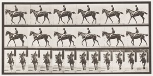 Plate 580.Gå; Sal; Fullblodsbukkhoppe Annie G., 1885 av Eadweard Muybridge