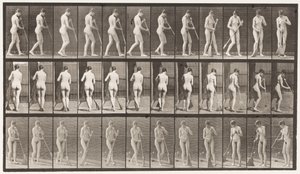 Plate 58. Å gå, snu seg og feie gulvet av Eadweard Muybridge