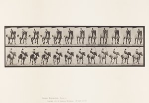 Tallerken 600. Trav; Bareback; Mørkegrå Dusel av Eadweard Muybridge