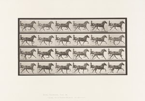 Plate 609. Trav; Sulky; Bay Mare, Lizzie M. av Eadweard Muybridge