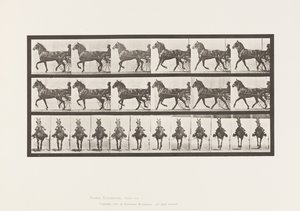 Plate 612. Trav; Sulky; Bay Horse, Dereumd av Eadweard Muybridge