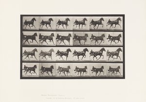 Plate 613. Trav; Sulky; Sorrel Mare Nellie Rose av Eadweard Muybridge