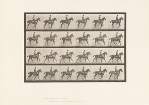 Tallerken 616. Galopp; Sal; Bay Horse Daisy av Eadweard Muybridge