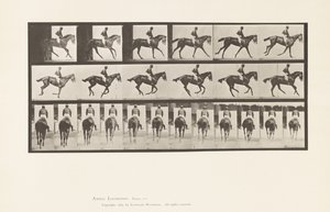 Tallerken 620. Galopp; Sal; Fullblods Bay Mare Annie 6. av Eadweard Muybridge