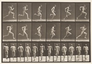 Plate 62. Kjører i full fart., 1872-1885 av Eadweard Muybridge