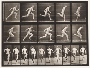 Plate 63. Kjører i full fart. av Eadweard Muybridge
