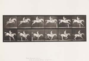 Plate 643. Hoppe et hinder; Bareback; Rydding og landing; av Eadweard Muybridge