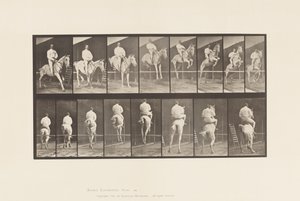 Plate 645. Hoppe et hinder; Sal; Rydding og landing av Eadweard Muybridge