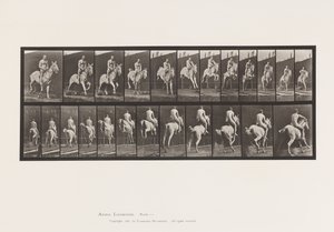 Plate 646. Hoppe et hinder; Sal; Rytter, 105, naken;, 1885 av Eadweard Muybridge