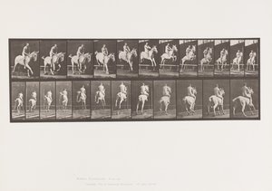 Plate 647. Hoppe et hinder; Bareback; Rytter av Eadweard Muybridge