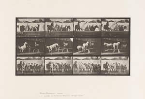 Plate 651.A, Klokkering; B, Teeter Board; C, Militærøvelse av Eadweard Muybridge