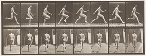Plate 65. Kjører i full fart., 1872-1885 av Eadweard Muybridge