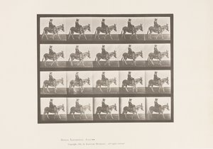 Plate 666. Ass; Turgåing; Sal; En jente som rir, Zoo