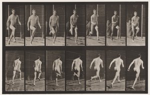 Plate 66. Kjører av Eadweard Muybridge
