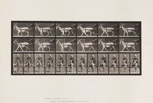 Plate 678. Geit; Trav, i Sulky av Eadweard Muybridge