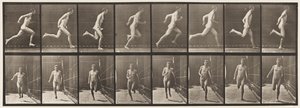 Plate 67. Running, 1872-1885 av Eadweard Muybridge