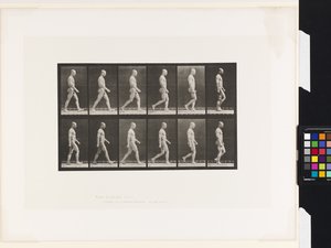 Plate 6.Gå av Eadweard Muybridge