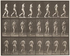 Plate 70. Running., 1872-1885 av Eadweard Muybridge