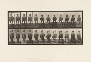Plate 741. Bactrian Camel; A, gåing; B, reoler av Eadweard Muybridge
