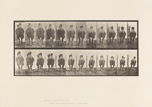 Plate 742. Bactrian Camel; A, reoler; B, Galopperende av Eadweard Muybridge