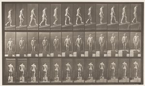 Plate 74. Stigende helling, vinkel 1 i 4 av Eadweard Muybridge