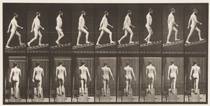 Plate 75. Stigende skråning, vinkel 1 i 4, 1872-1885 av Eadweard Muybridge