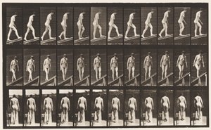 Plate 76. Stigende stigning av Eadweard Muybridge