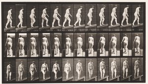 Plate 77. Stigende stigning av Eadweard Muybridge