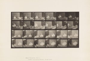 Tallerken 781. Kyllinger; Skremt av Torpedo av Eadweard Muybridge