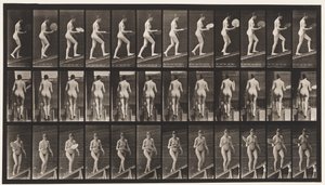 Plate 78. Ascending Incline, Flirting A Fan, 1872-1885 av Eadweard Muybridge
