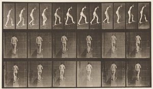 Plate 79. Stigende stigning av Eadweard Muybridge