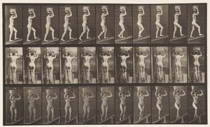Plate 80. Stigende stigning av Eadweard Muybridge