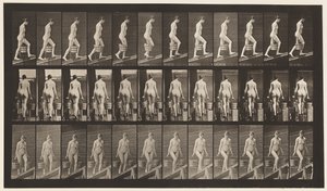 Plate 81. Stigende stigning. av Eadweard Muybridge
