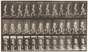Plate 82. Stigende skråning, bøtte med vann i hver hånd av Eadweard Muybridge
