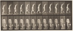 Plate 84. Stigende skråning, bøtte med vann i høyre hånd av Eadweard Muybridge