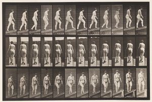 Plate 86. Stigende stigning av Eadweard Muybridge