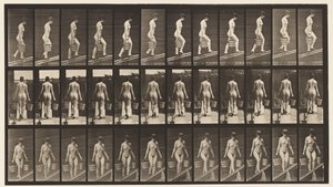 Plate 87. Stigende skråning, bøtte med vann i hver hånd av Eadweard Muybridge