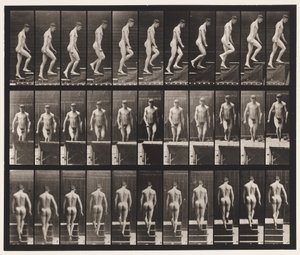 Plate 88. Oppstigende trapper, 1872-1885 av Eadweard Muybridge