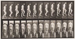 Plate 89. Oppgående trapp av Eadweard Muybridge