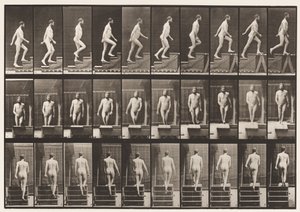 Plate 90. Oppgående trapp av Eadweard Muybridge