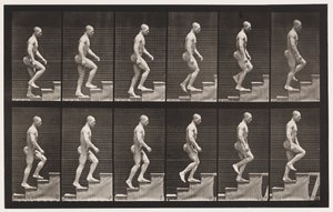 Plate 91. Oppgående trapp av Eadweard Muybridge
