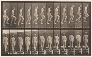 Plate 92. Oppgående trapp av Eadweard Muybridge