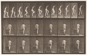 Plate 93. Oppgående trapp av Eadweard Muybridge