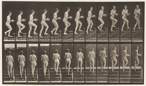 Plate 94. Oppstigende trapp ser seg rundt; Basseng i hender av Eadweard Muybridge