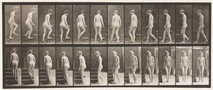 Plate 98. Svingende og oppgående trapper, 1872-1885 av Eadweard Muybridge