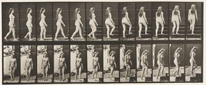 Plate 99. Svingende og oppgående trapper av Eadweard Muybridge
