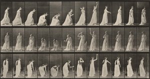 Tavle nummer 306. Å plukke opp en ball og kaste den av Eadweard Muybridge