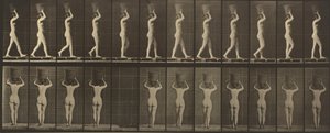  av Eadweard Muybridge
